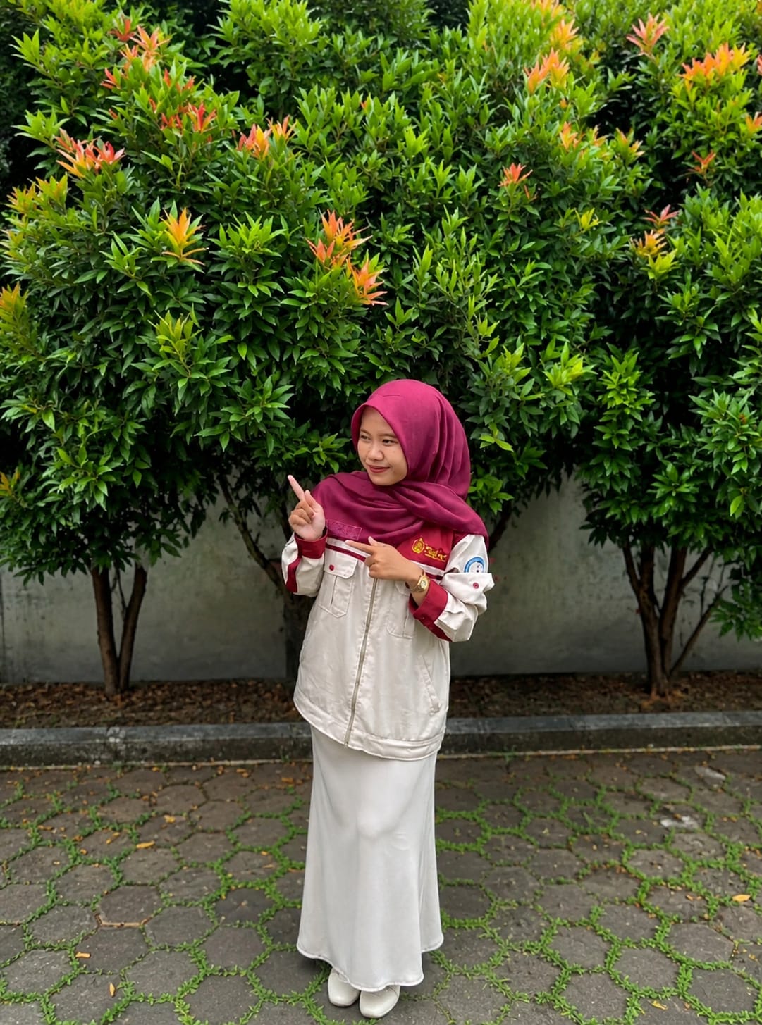Anggota